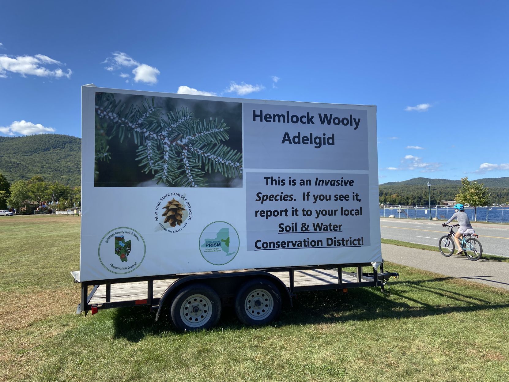 Hemlock billboard